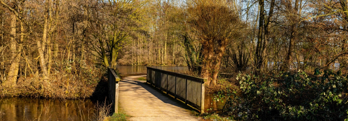 Parkanlage mit Holzbrücke über kleinen Fluß