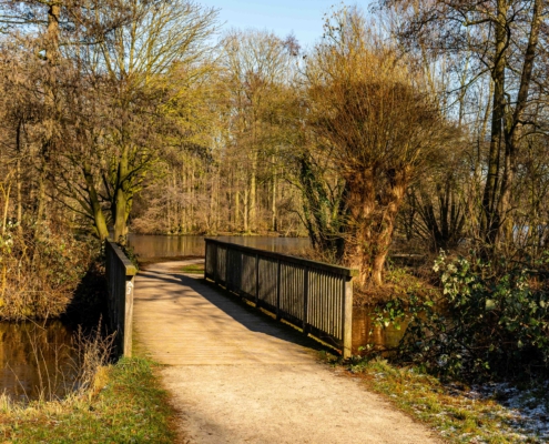 Parkanlage mit Holzbrücke über kleinen Fluß
