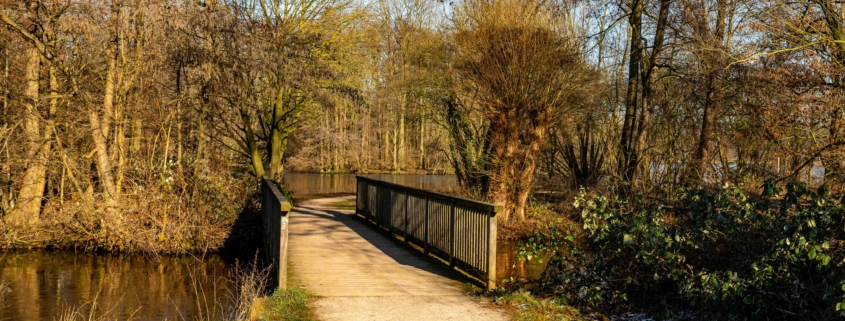 Parkanlage mit Holzbrücke über kleinen Fluß